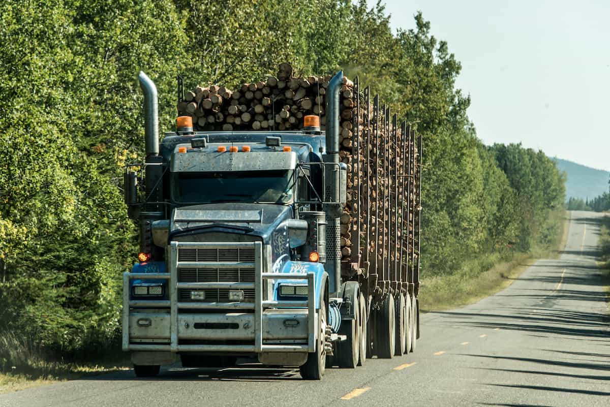 Trucker capturing receipt image